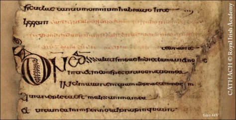 Detail of Script from the Cathach; Courtesy of the Royal Irish Academy. 