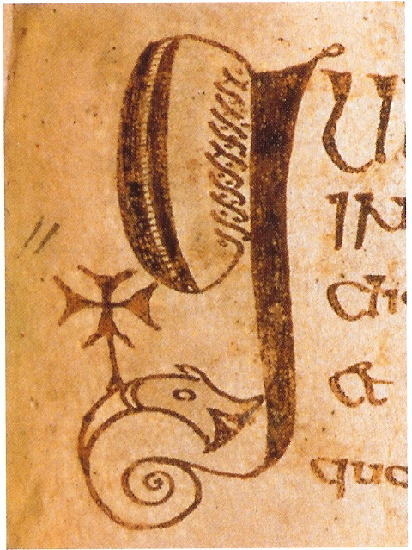 Initial letter " g". Courtesy of the Royal Irish Academy. In this you can see the  Initial letters shows a fish or dolphin bearing a cross, a motif familiar in Coptic Egypt. This indicates that these early scribes had contact with  lands as far away as Egypt.