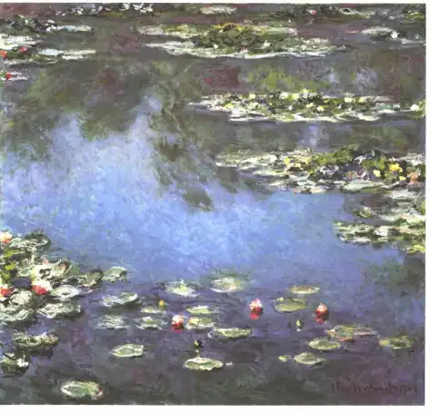 Monet; Waterlilies 1906